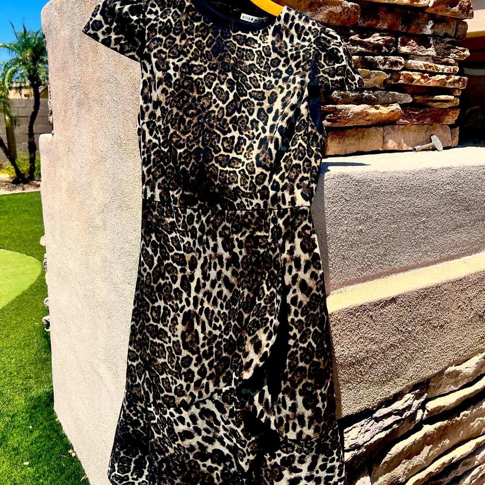 Allison + Olivia Kirby leopard mini ruffle dress women’s size 4